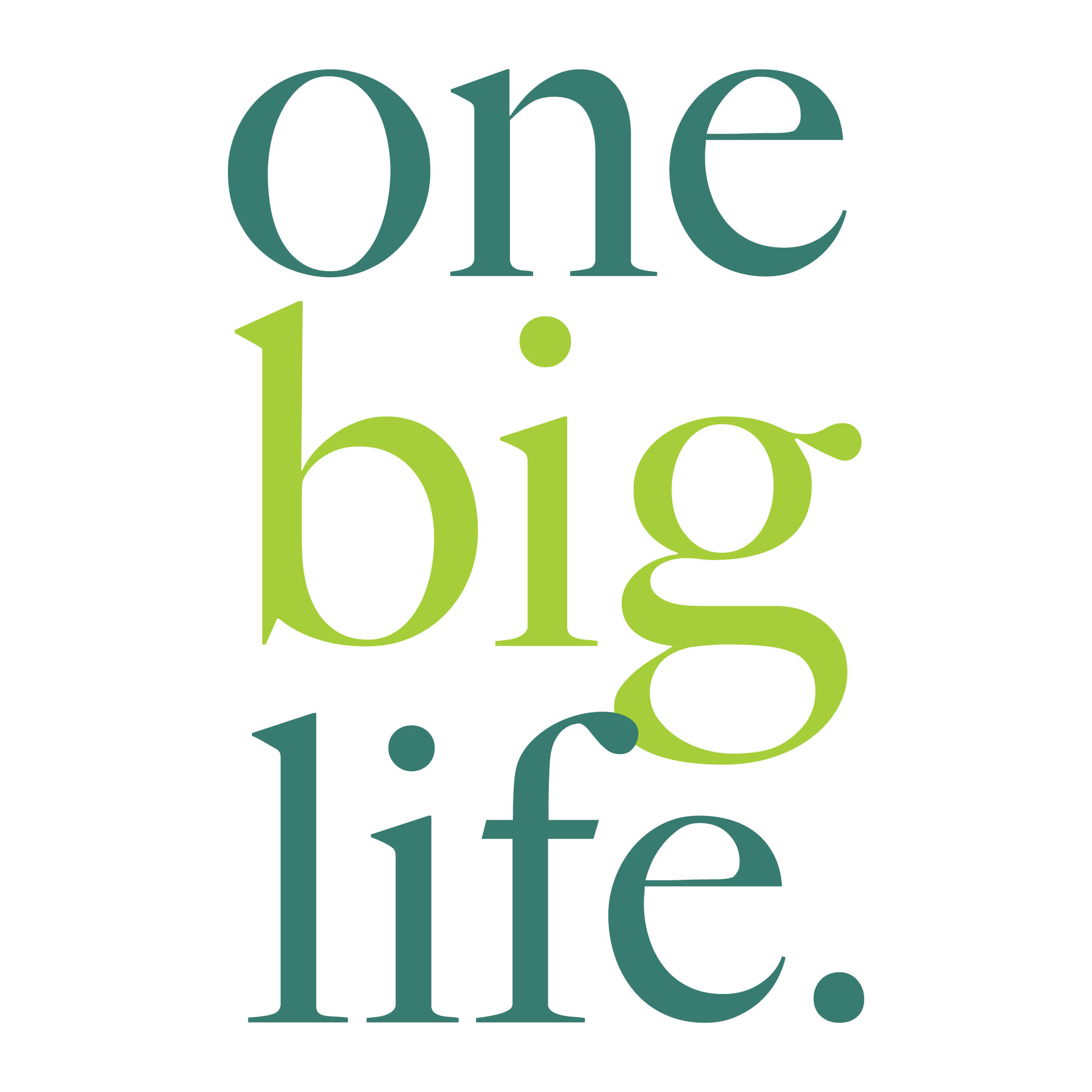 One Big Life